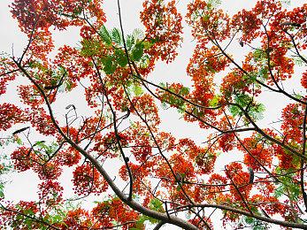 降低学习成本 《神之浩劫2》上线时将拥有50个角色